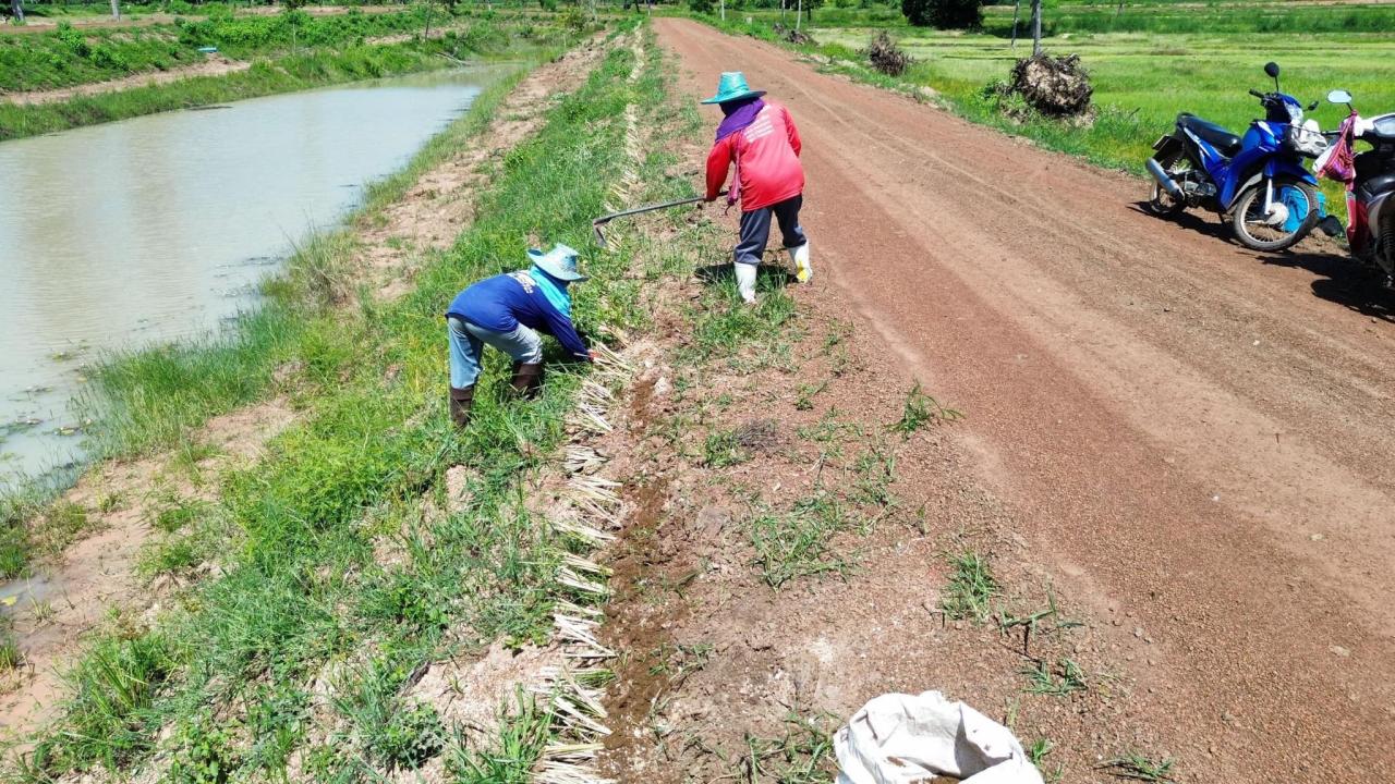 ภาพประกอบที่ 1
