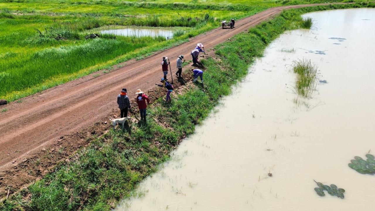 ภาพประกอบที่ 8