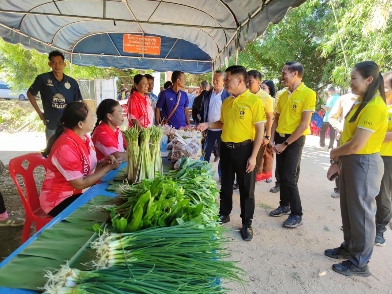 ภาพประกอบที่ 31