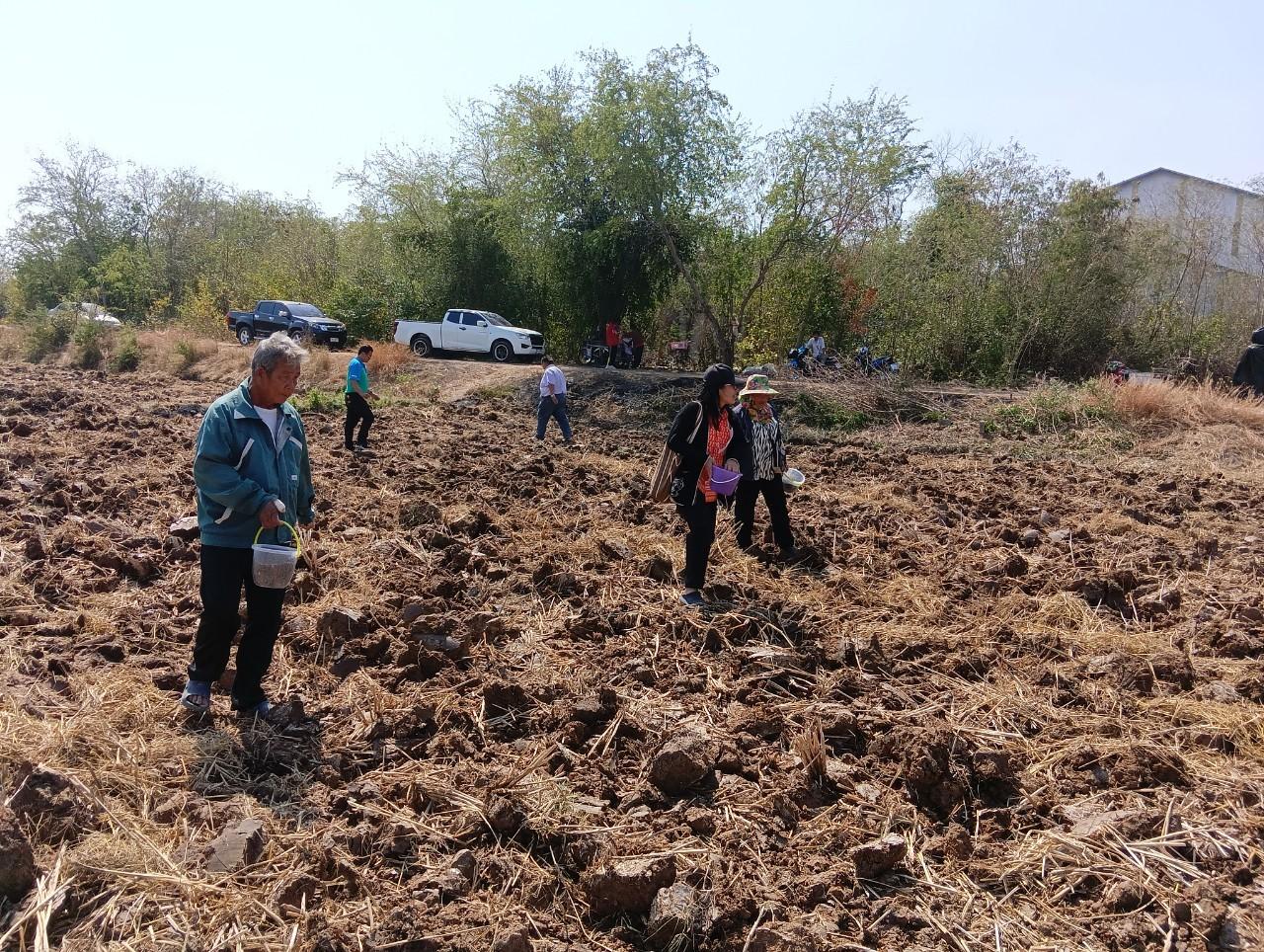 ภาพประกอบที่ 3