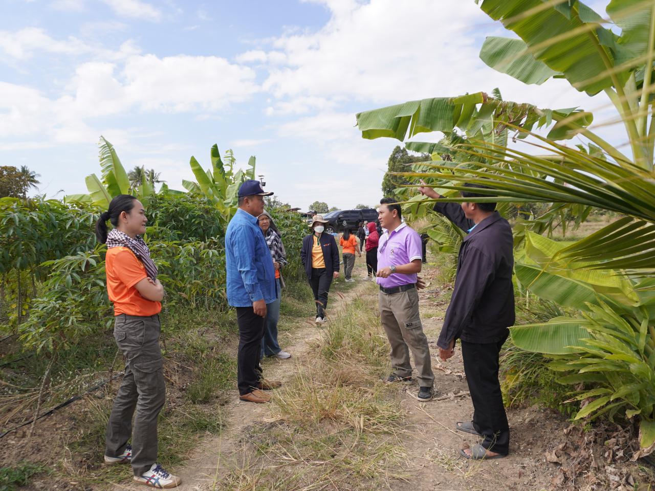 ภาพประกอบที่ 5