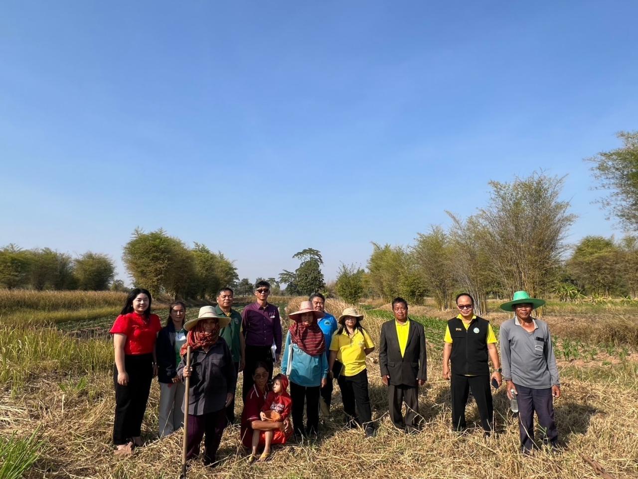 ภาพประกอบที่ 0