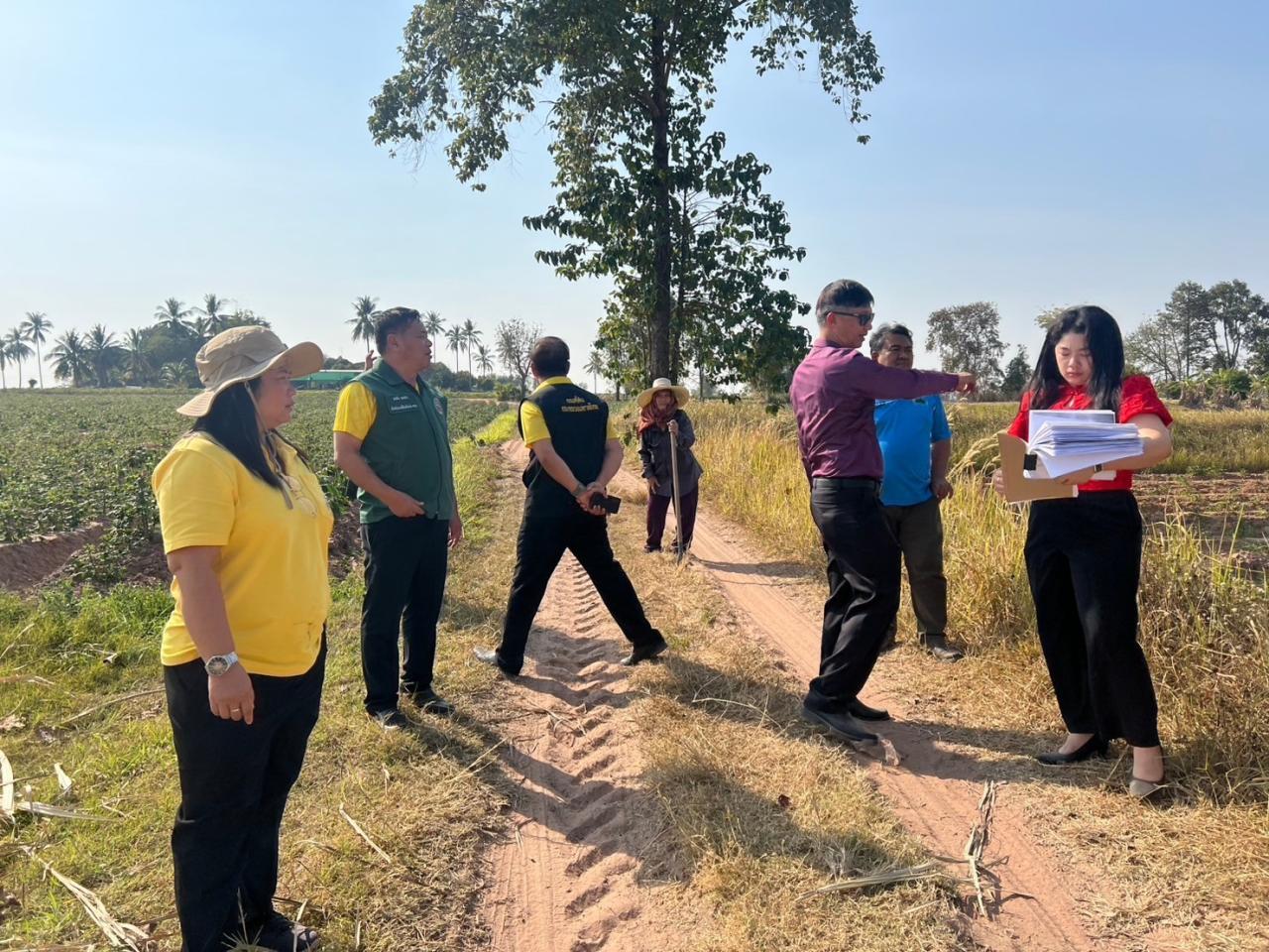 ภาพประกอบที่ 2