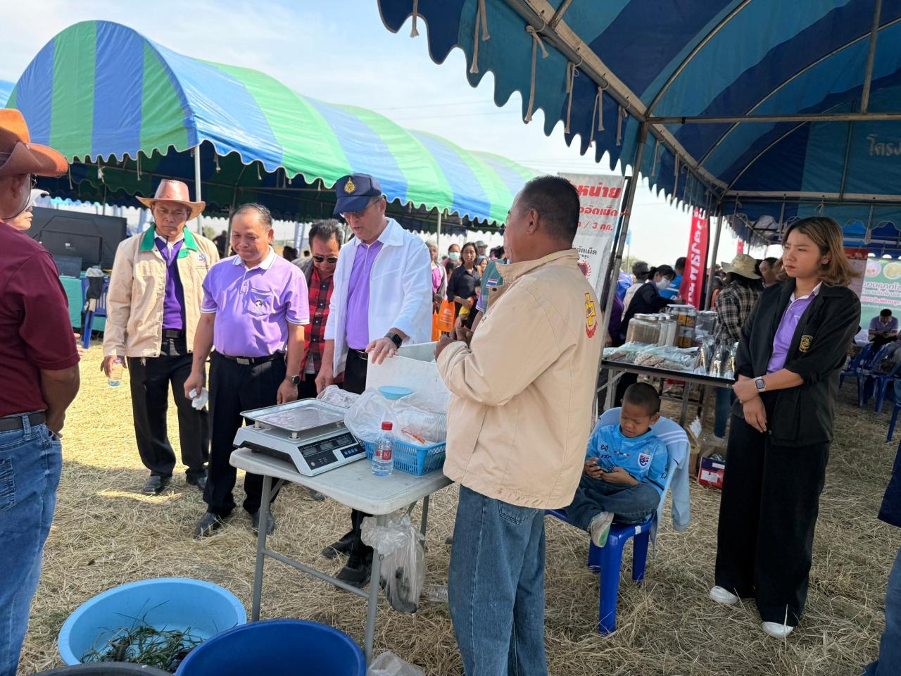 ภาพประกอบที่ 25