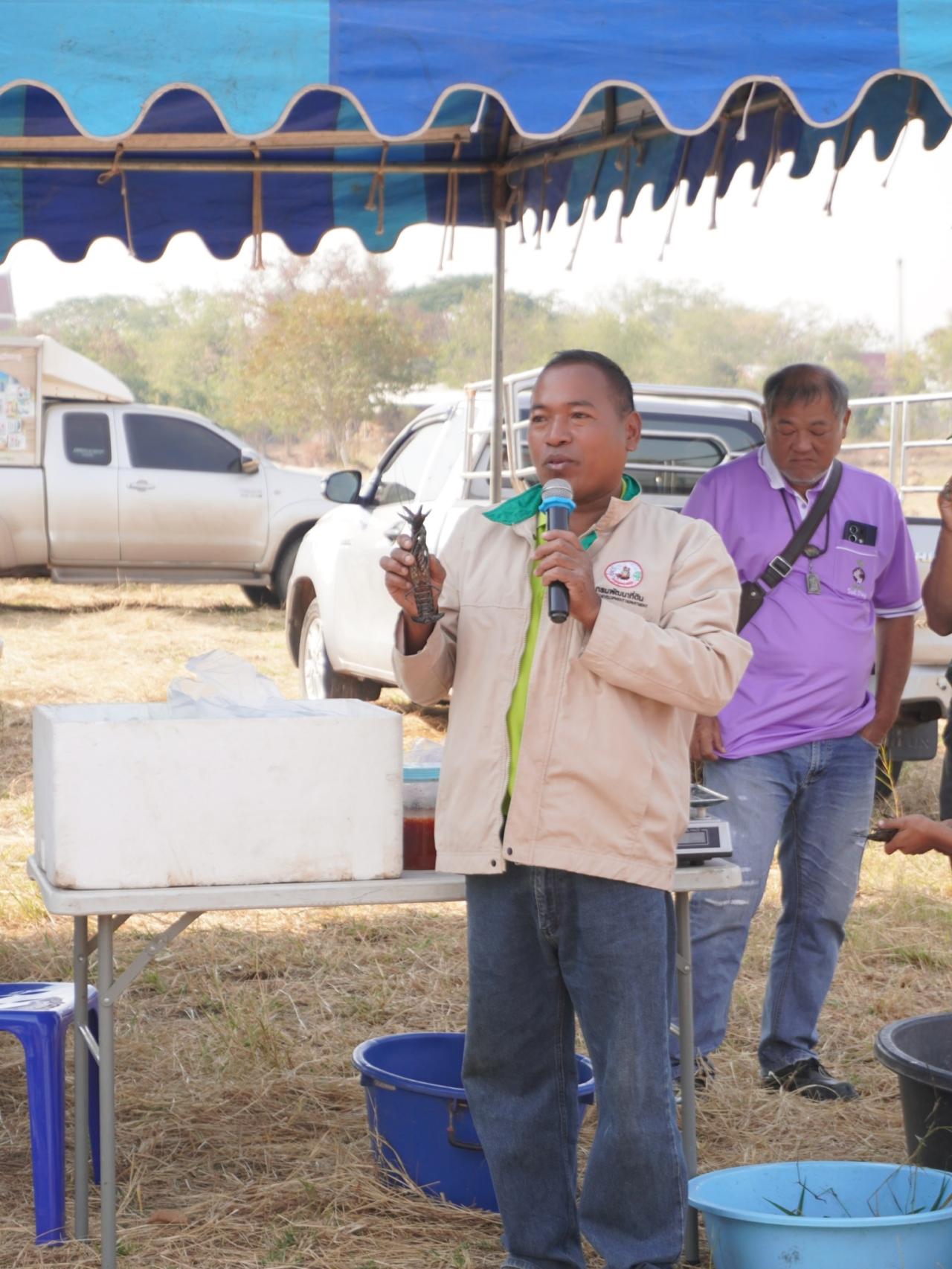 ภาพประกอบที่ 19