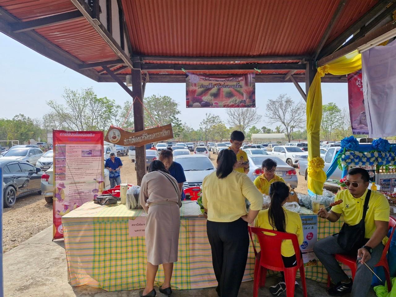 ภาพประกอบที่ 11