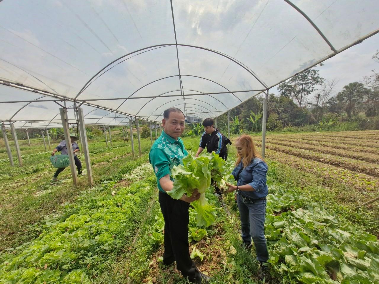 ภาพประกอบที่ 6