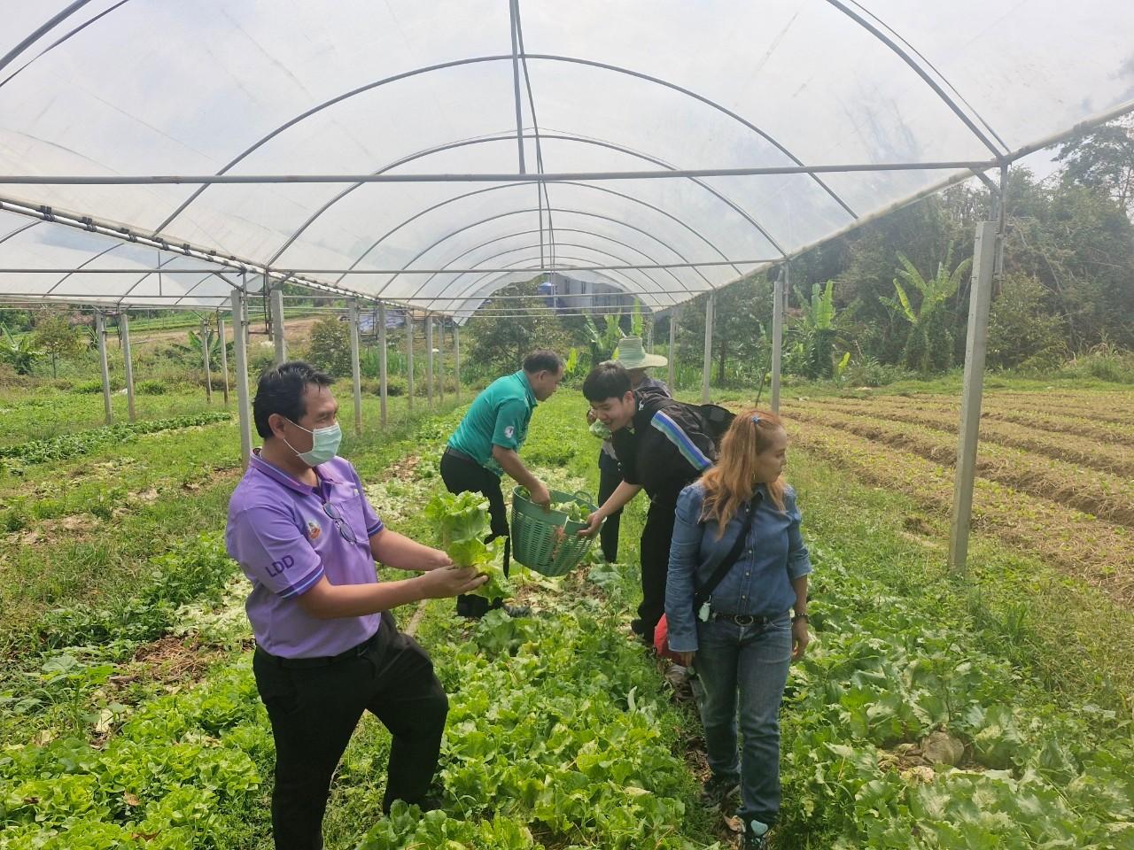 ภาพประกอบที่ 7