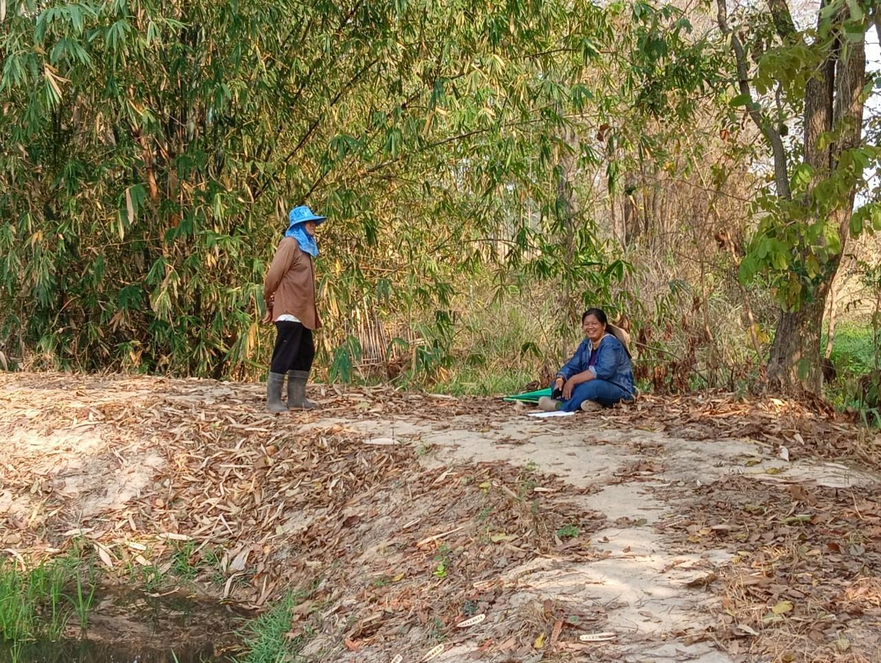 ภาพประกอบที่ 1