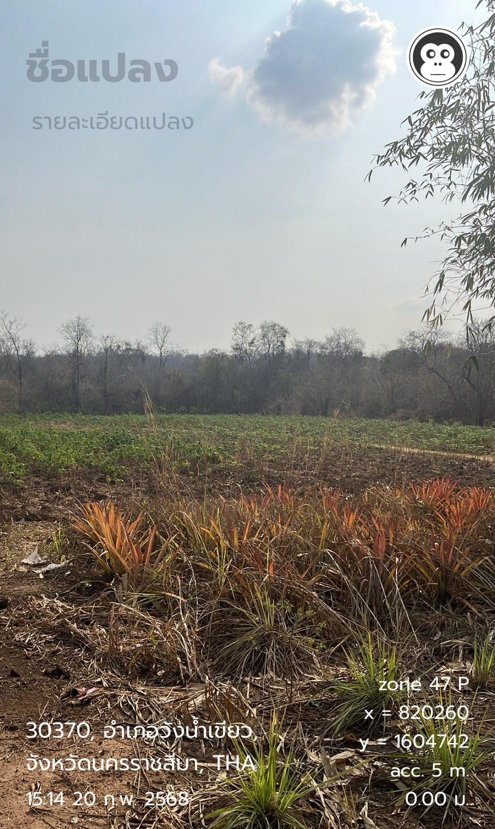 ภาพประกอบที่ 6