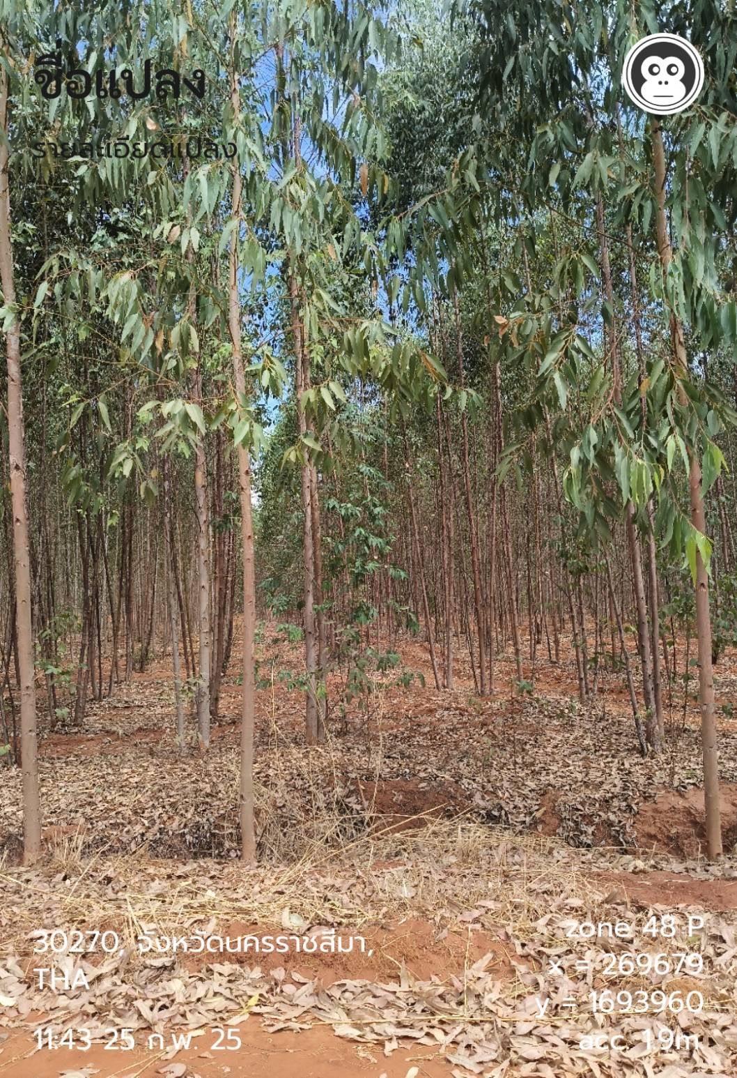 ภาพประกอบที่ 7