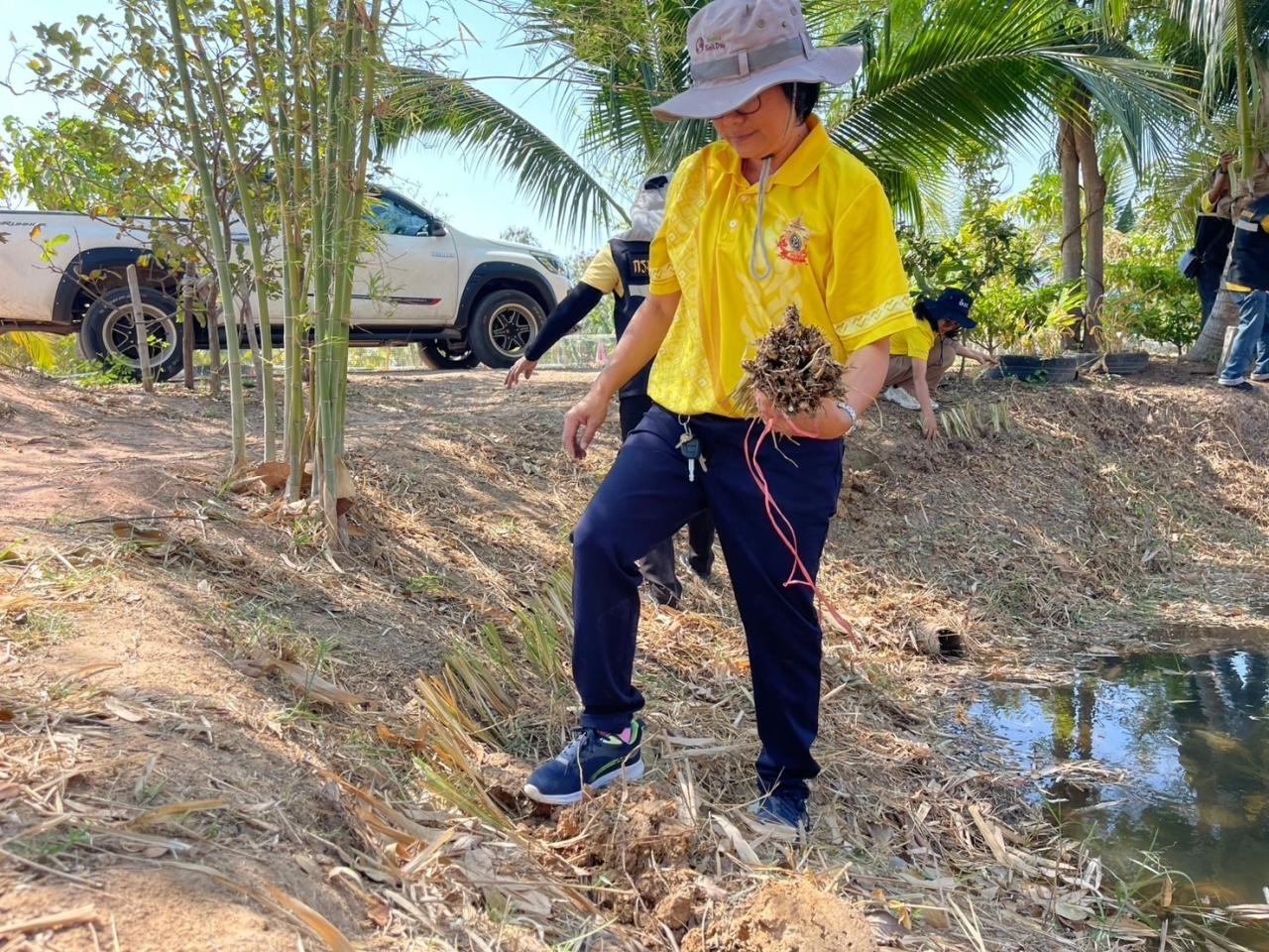 ภาพประกอบที่ 0