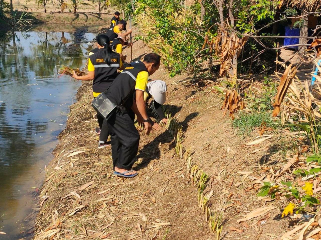 ภาพประกอบที่ 2