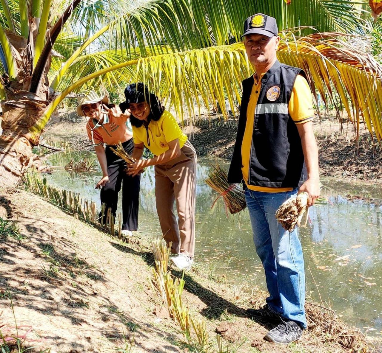 ภาพประกอบที่ 4