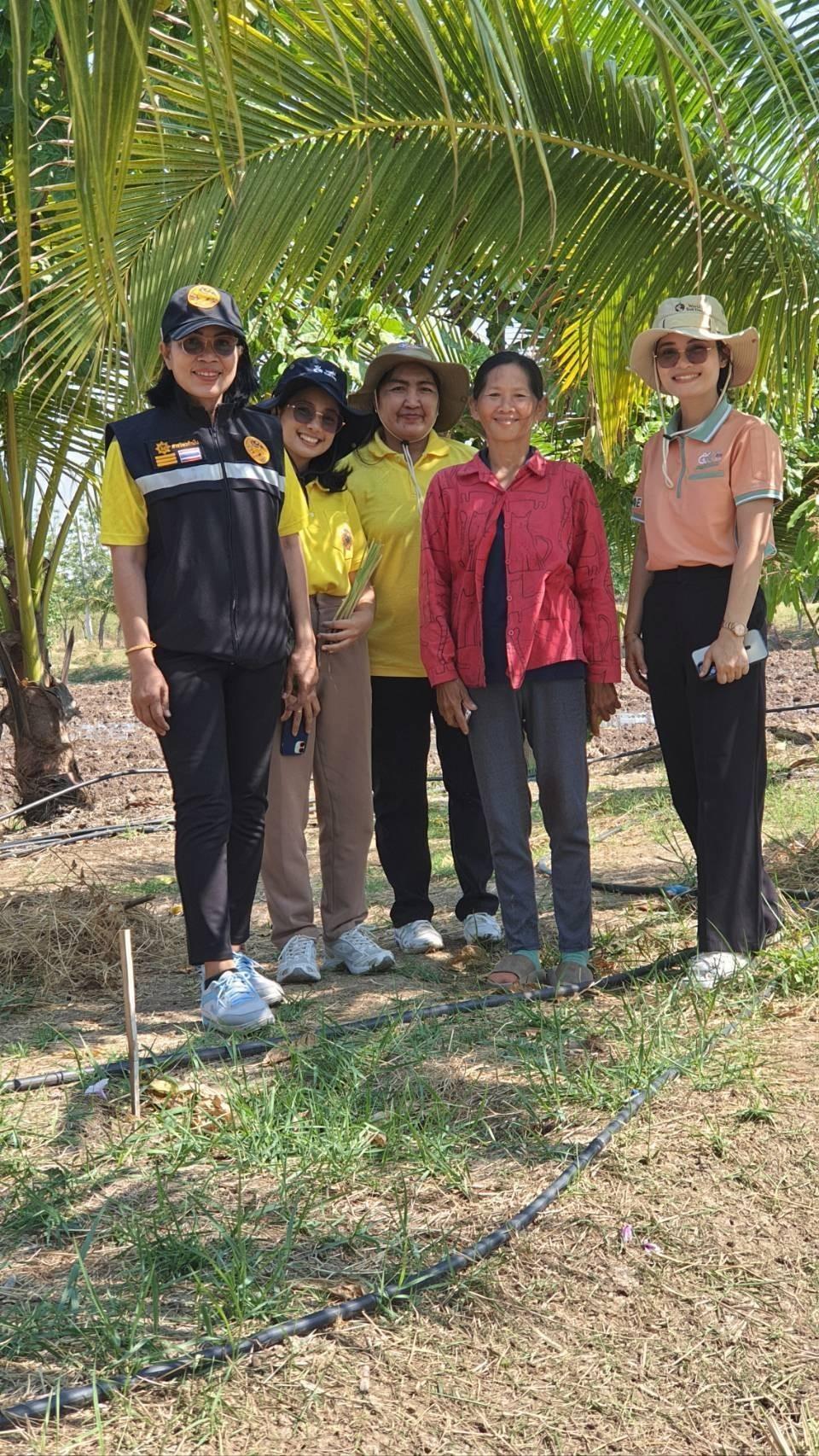 ภาพประกอบที่ 6