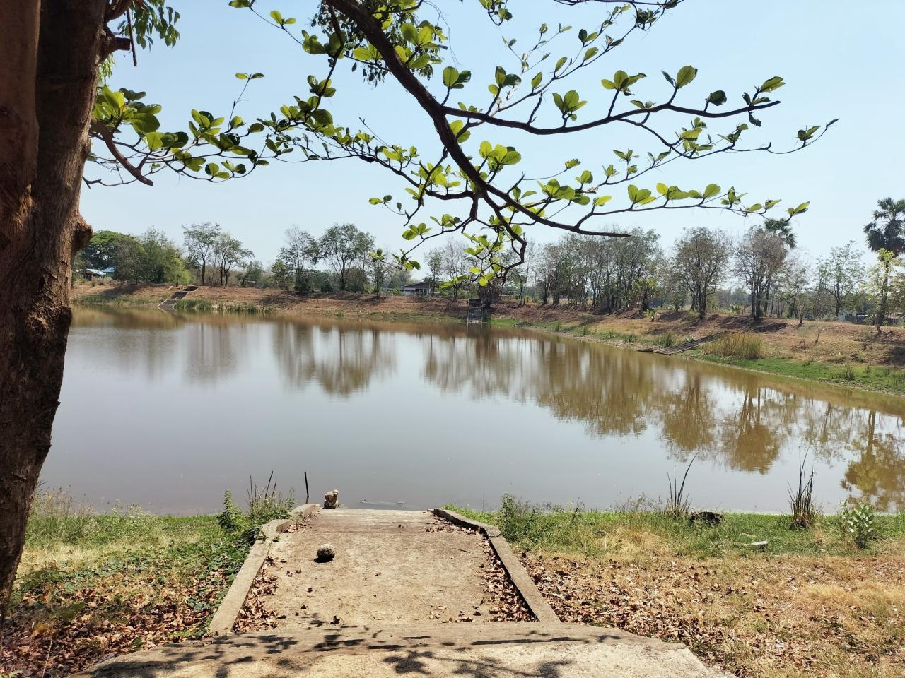 ภาพประกอบที่ 0