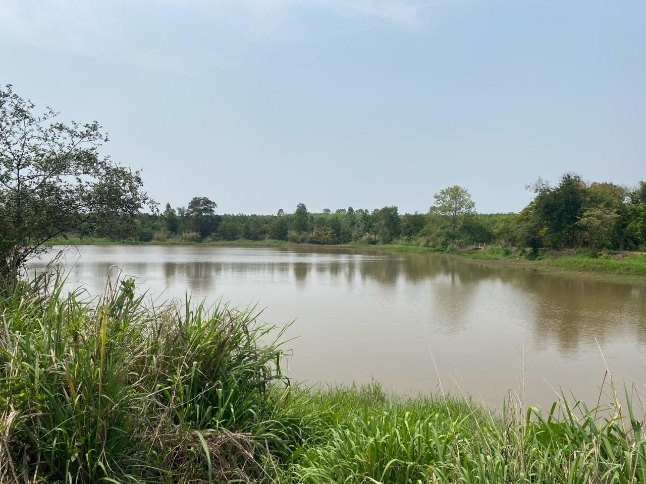 ภาพประกอบที่ 7