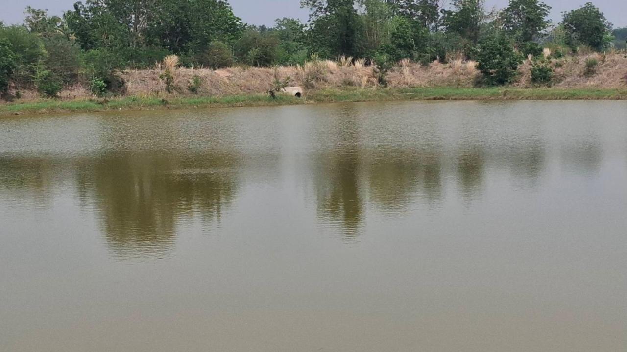 ภาพประกอบที่ 10