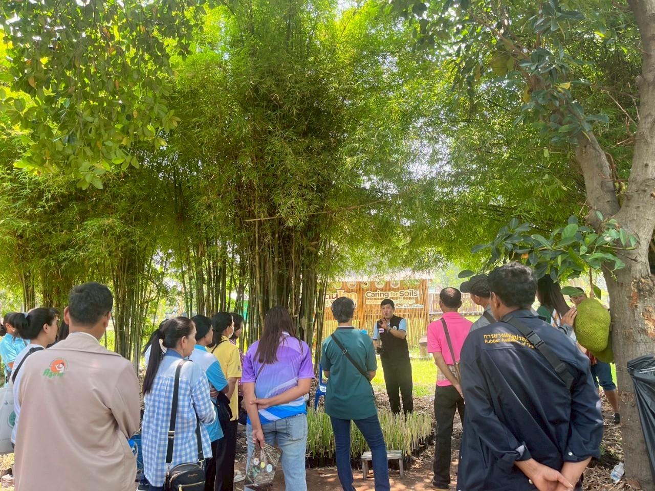 ภาพประกอบที่ 15