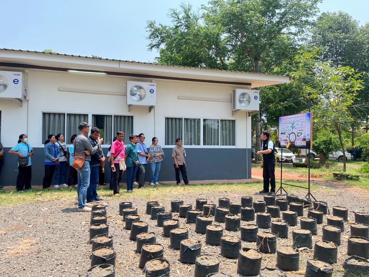 ภาพประกอบที่ 19