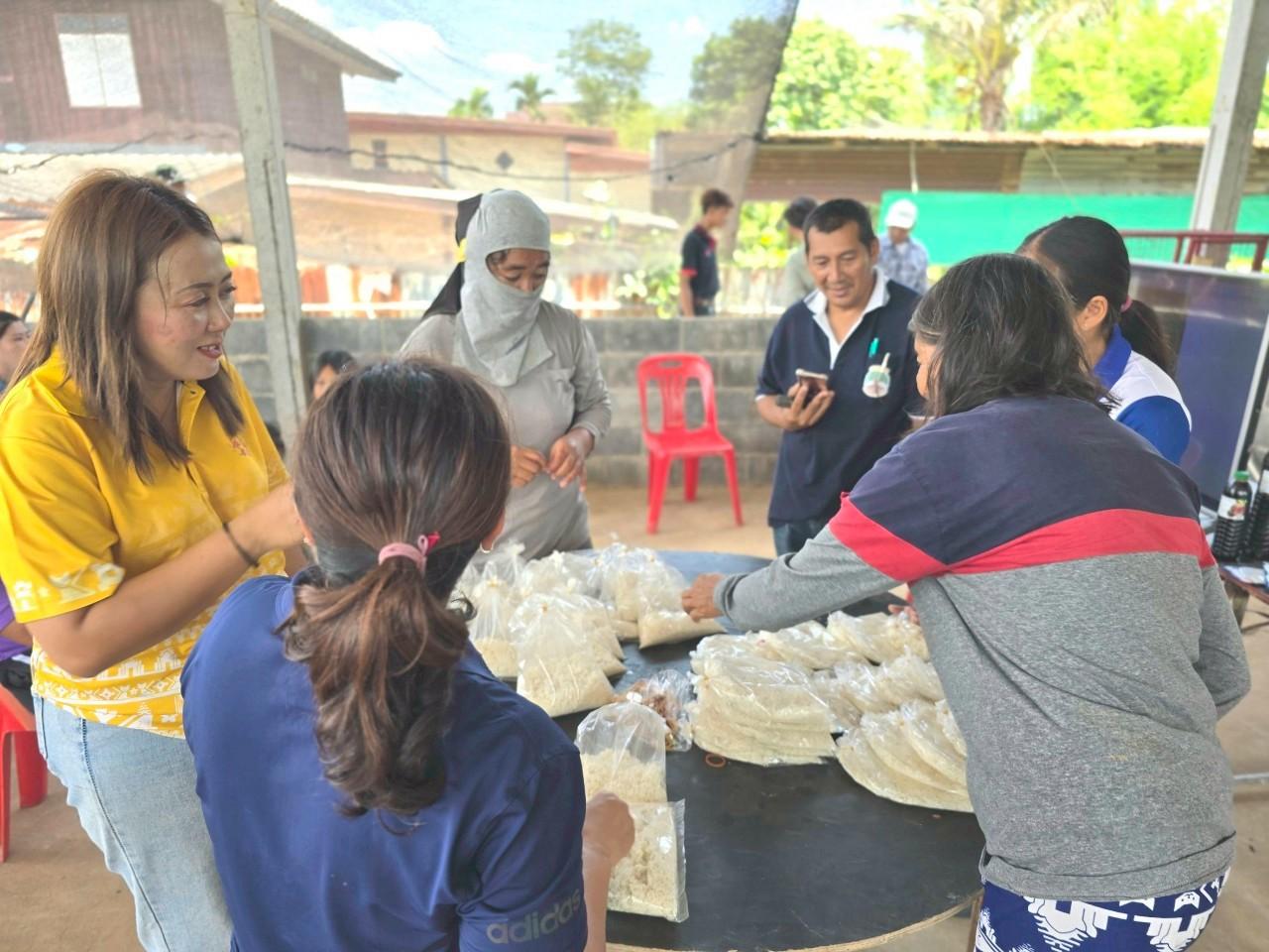 ภาพประกอบที่ 3