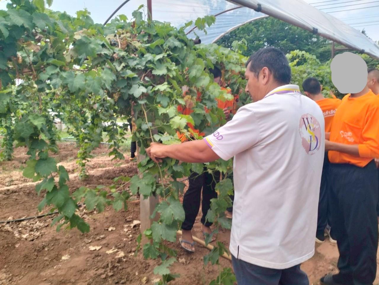 ภาพประกอบที่ 9