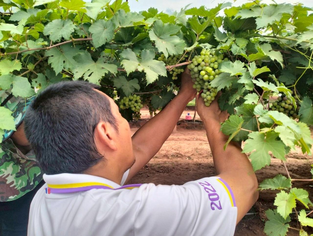 ภาพประกอบที่ 10