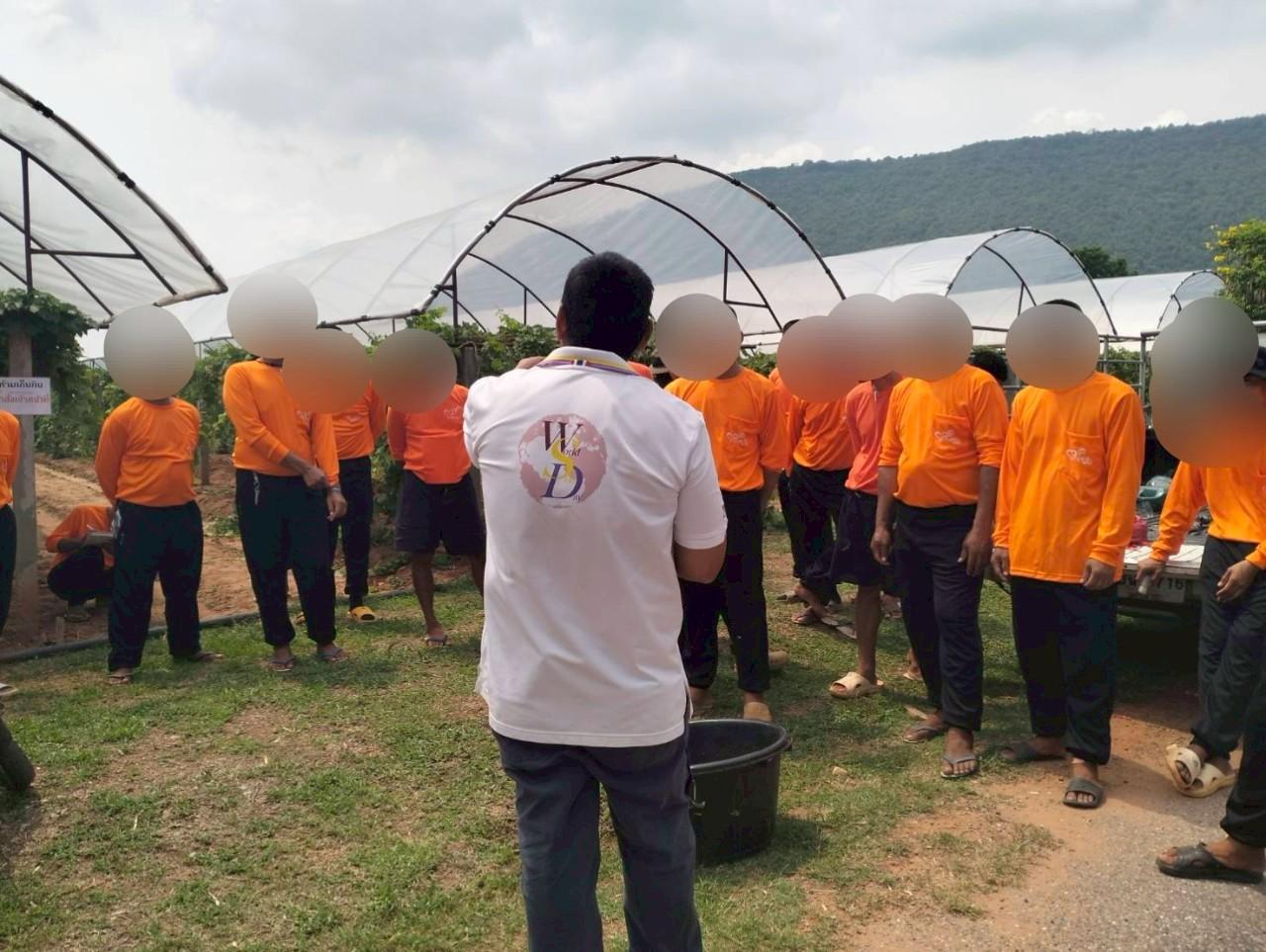 ภาพประกอบที่ 11