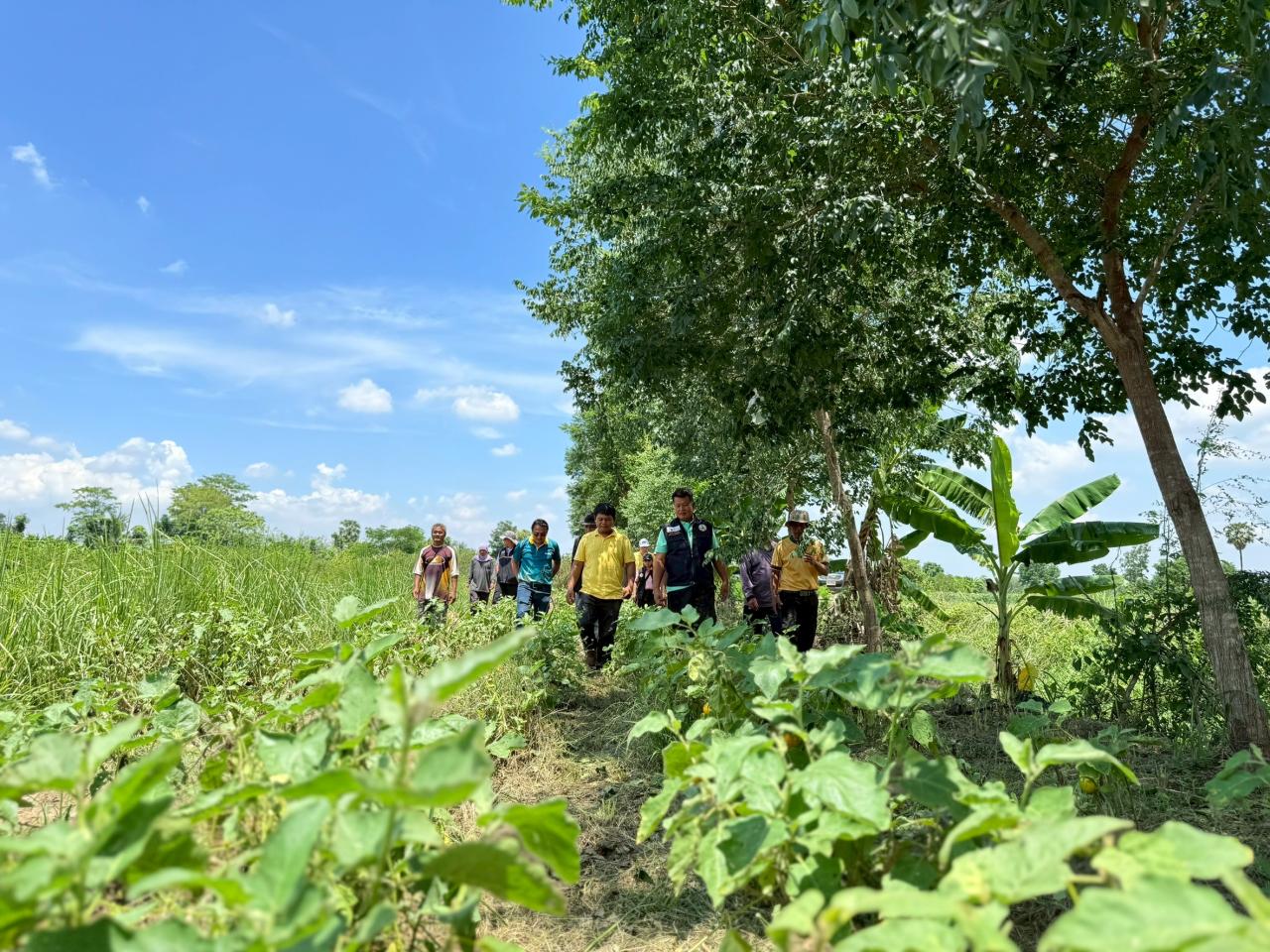 ภาพประกอบที่ 50