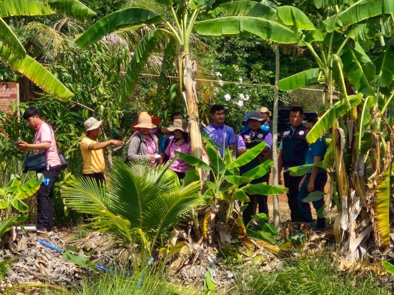 ภาพประกอบที่ 51