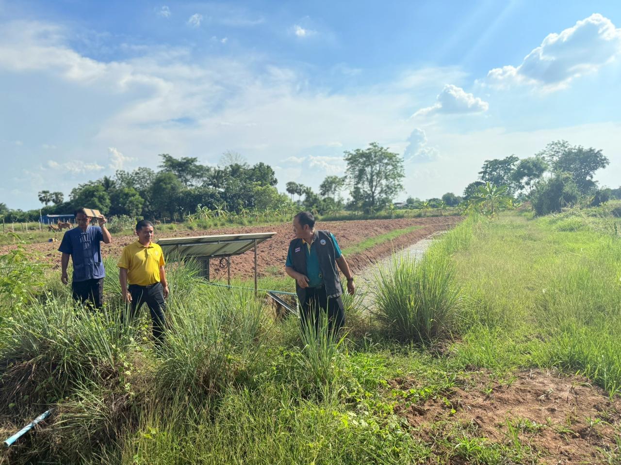ภาพประกอบที่ 25