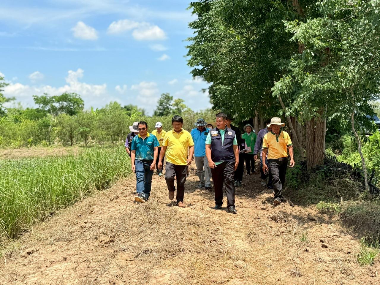 ภาพประกอบที่ 12