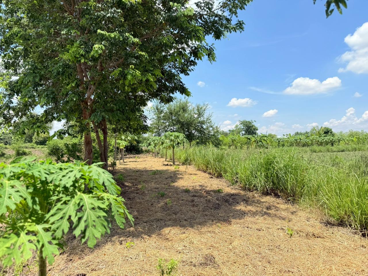 ภาพประกอบที่ 14