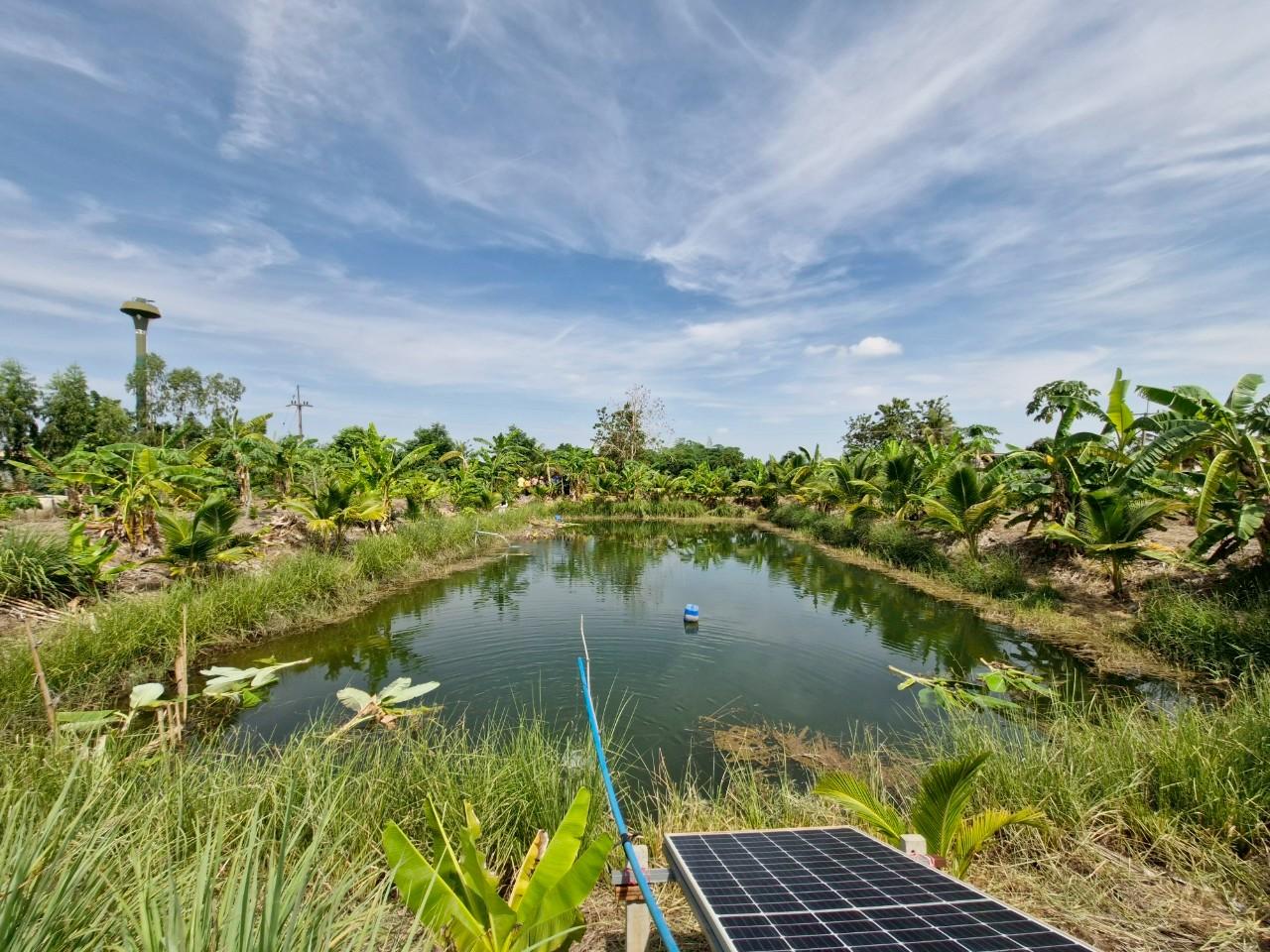 ภาพประกอบที่ 10