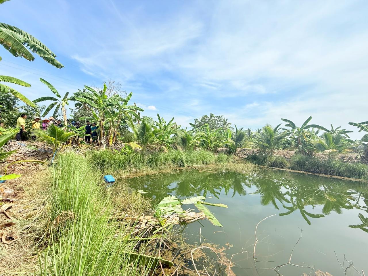 ภาพประกอบที่ 2