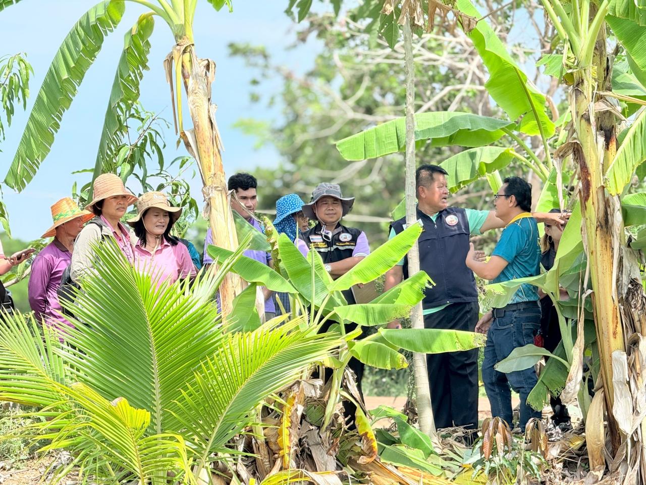 ภาพประกอบที่ 3