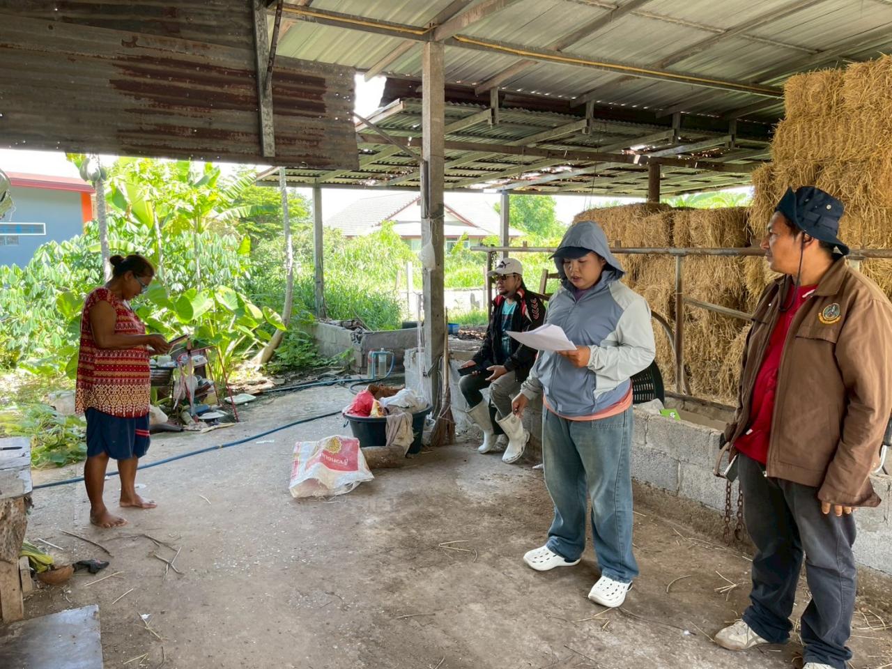 ภาพประกอบที่ 0