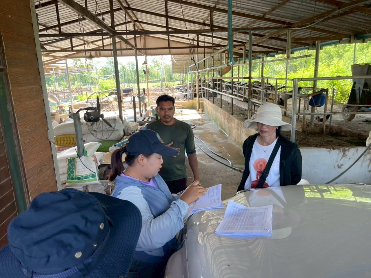 ภาพประกอบที่ 9