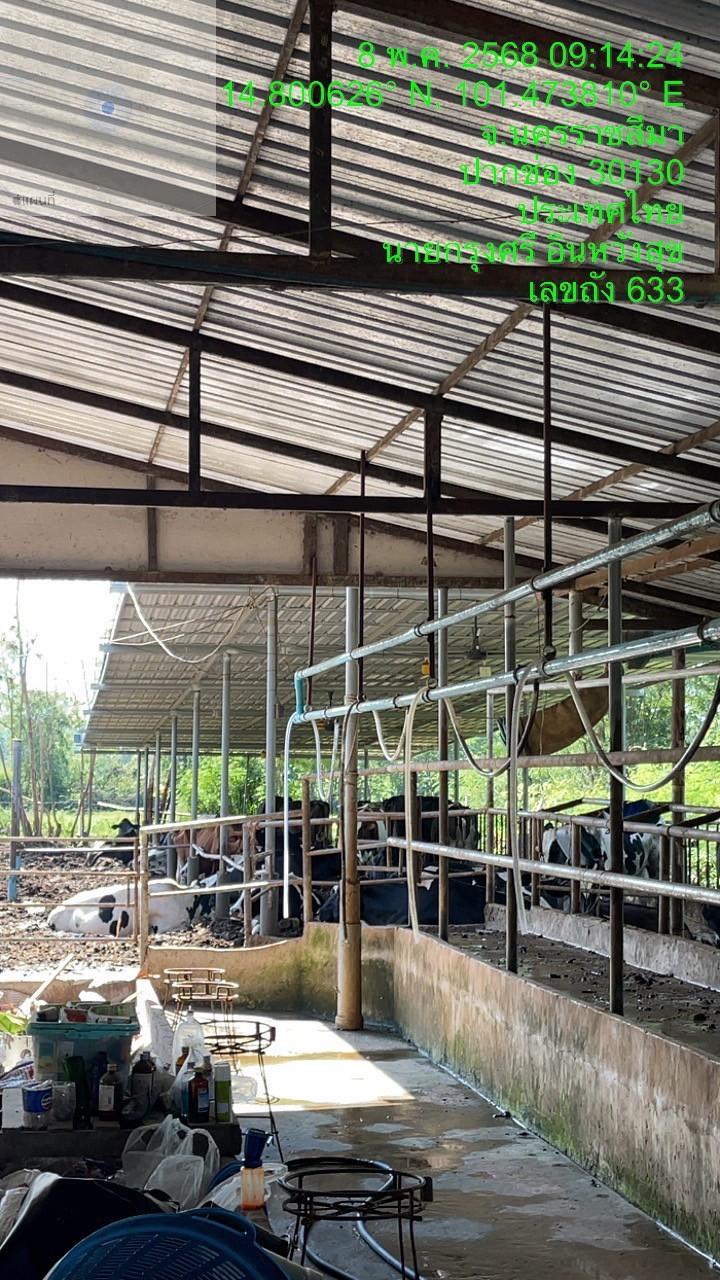 ภาพประกอบที่ 11