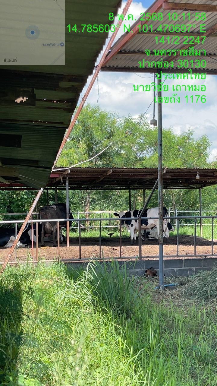 ภาพประกอบที่ 13