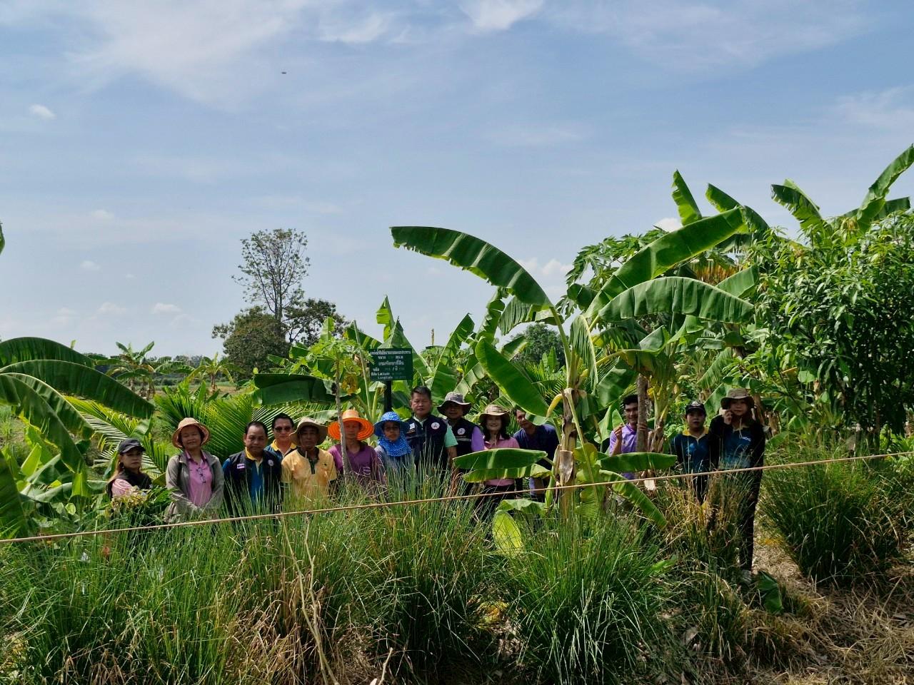 ภาพประกอบที่ 11