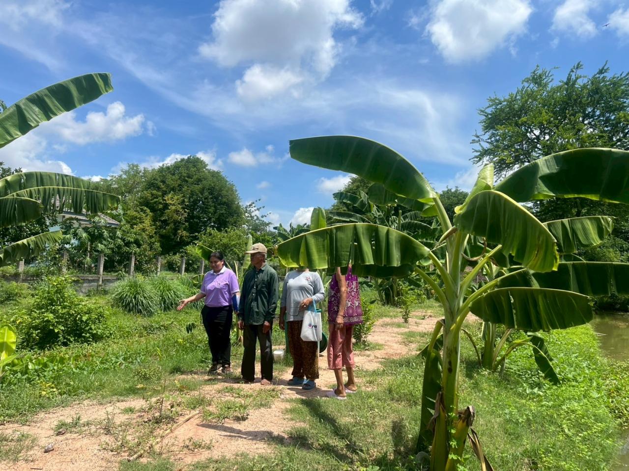 ภาพประกอบที่ 5