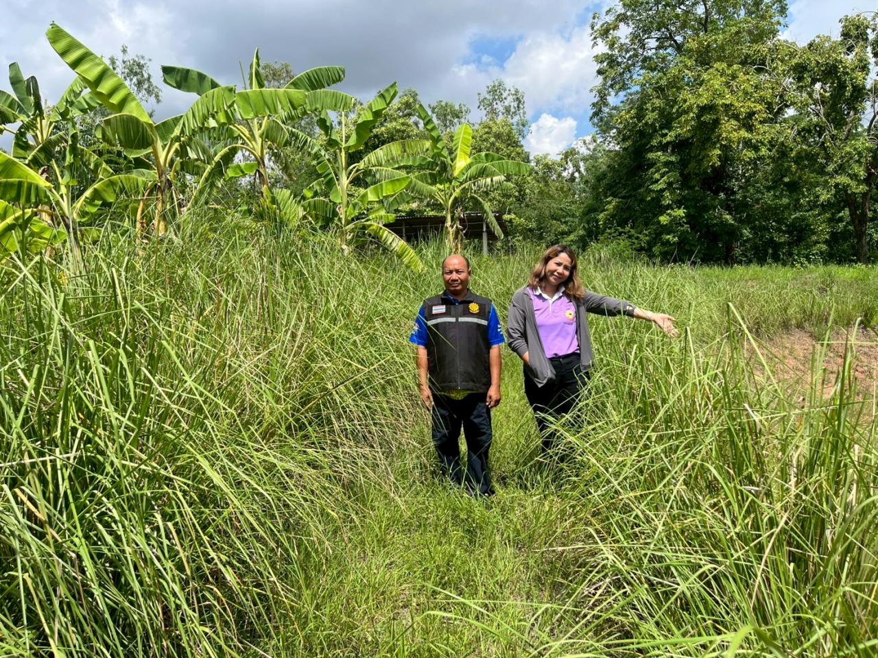 ภาพประกอบที่ 6