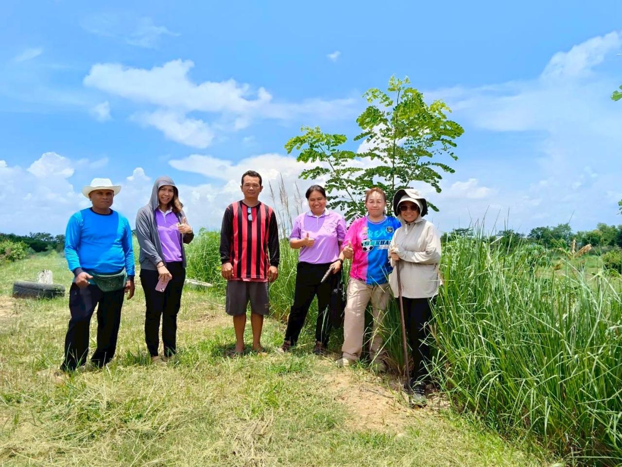 ภาพประกอบที่ 24