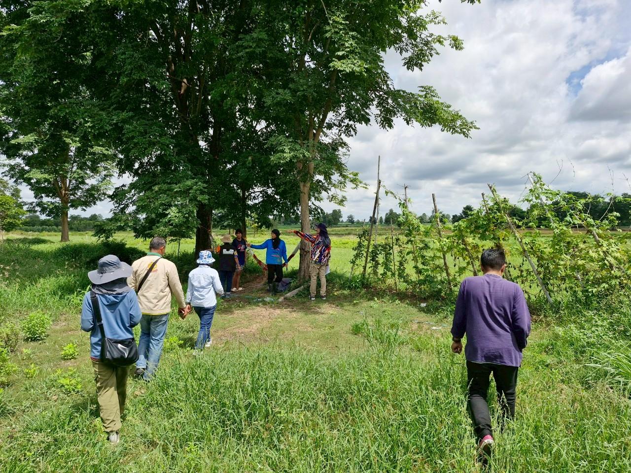 ภาพประกอบที่ 4
