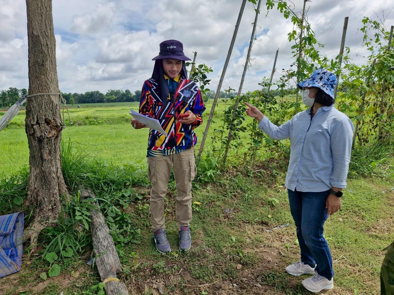 ภาพประกอบที่ 5