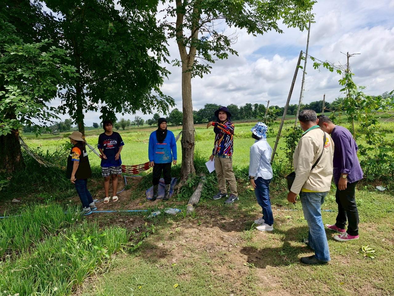 ภาพประกอบที่ 6