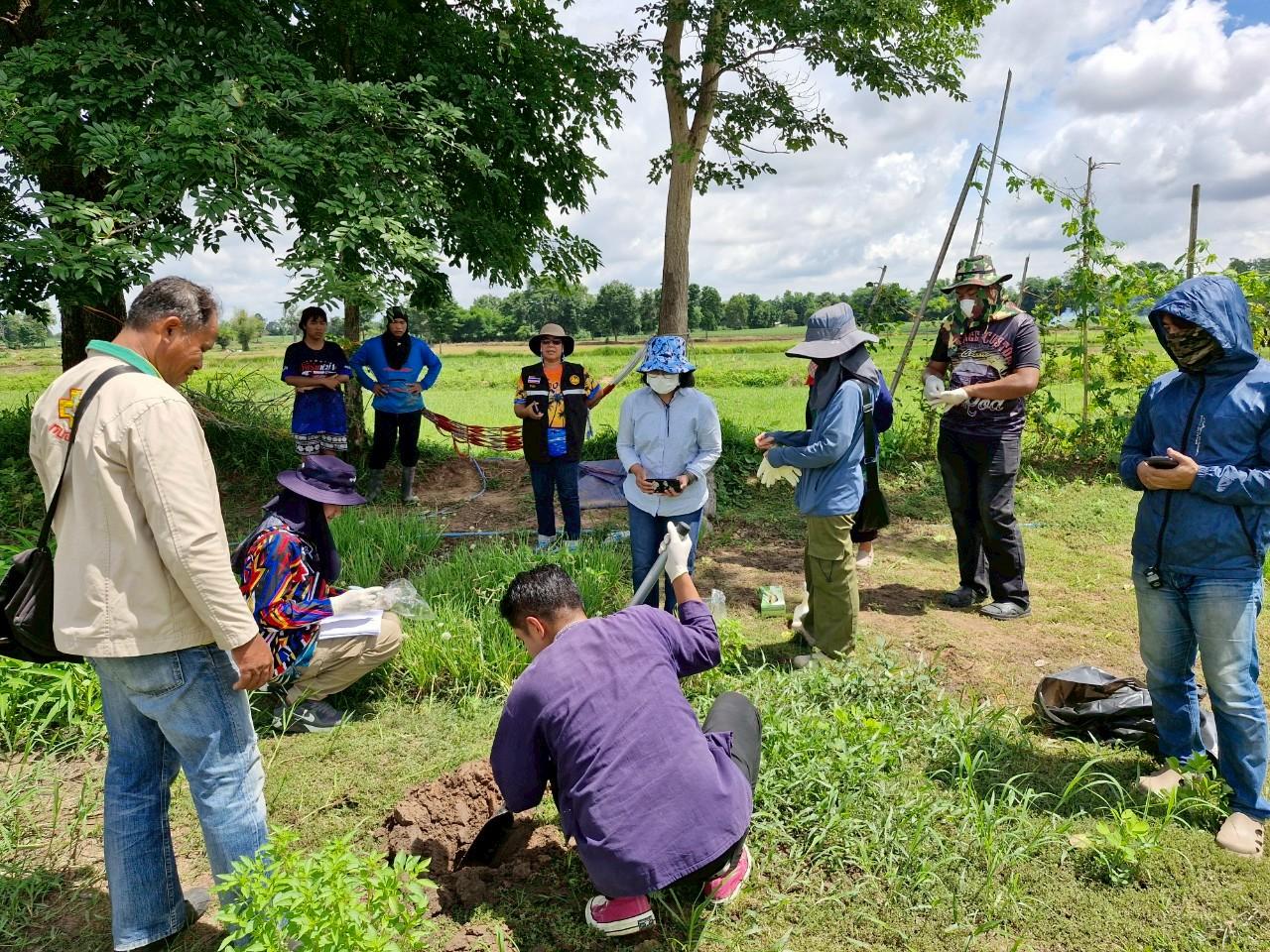 ภาพประกอบที่ 8