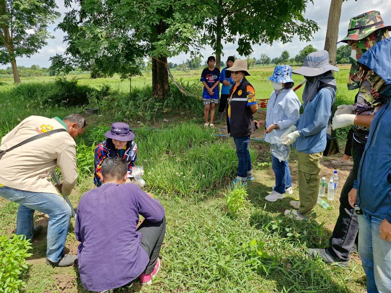 ภาพประกอบที่ 10