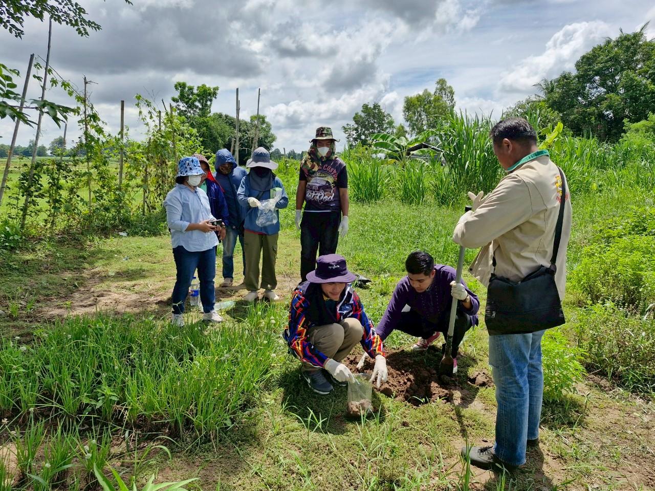 ภาพประกอบที่ 13